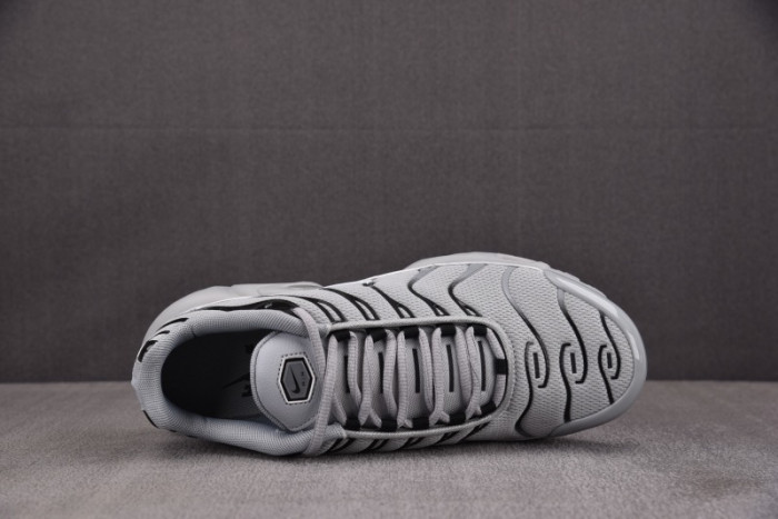 Air Max Plus TN 