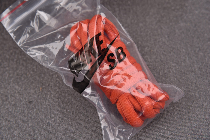 Nike Dunk Low Premium SB 