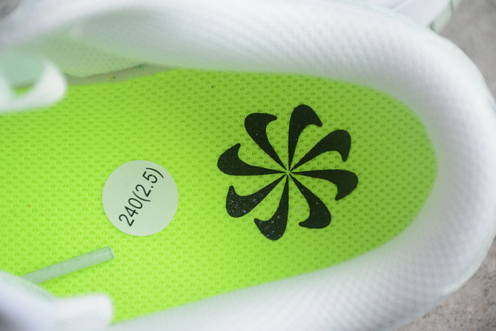 Wmns Dunk Low Next Nature 