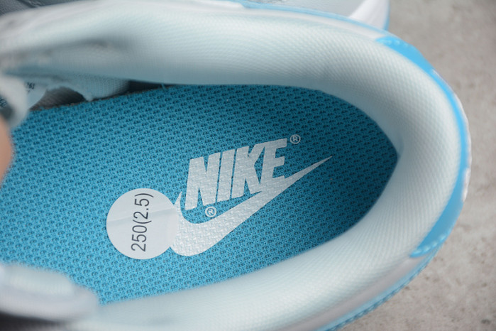 Nike Dunk Low Retro Pure Platinum Blue Lightning DV0831-001