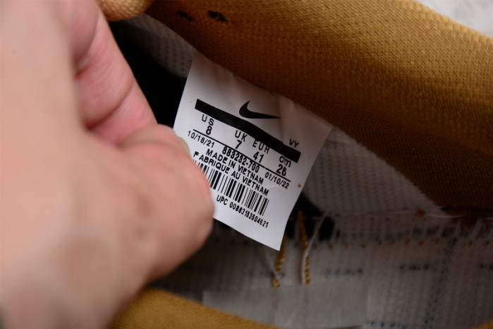 Nike SB Dunk Low 883232-700