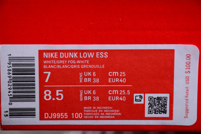 Nike Dunk Low DJ9955-100