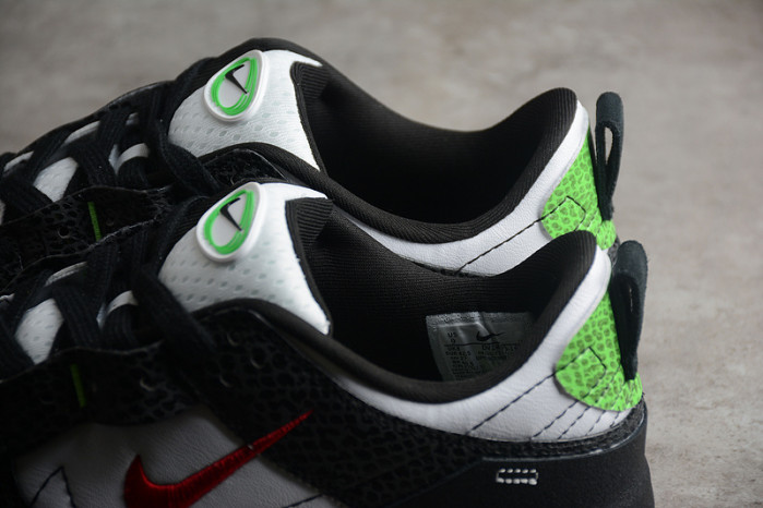 Dunk Low Disrupt 2 "Panda" DV1490-161