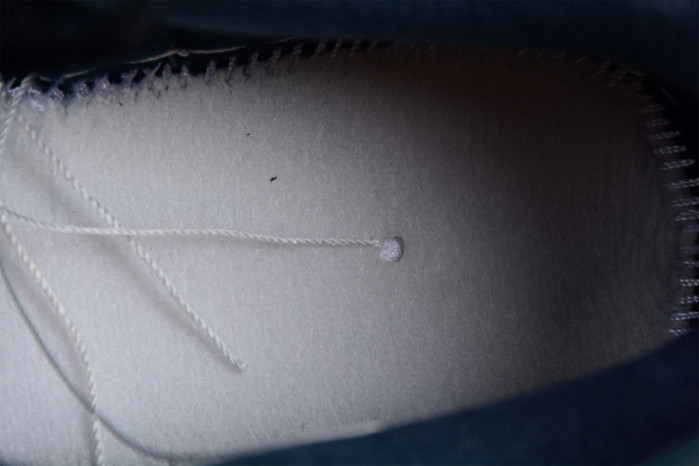 NIKE DUNK LOW " OCEAN" DR9705-300