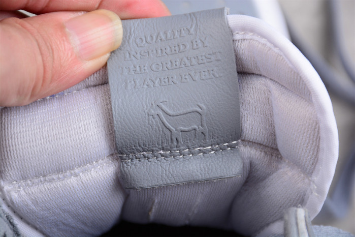 Air Jordan 1 High OG Stealth 555088-037