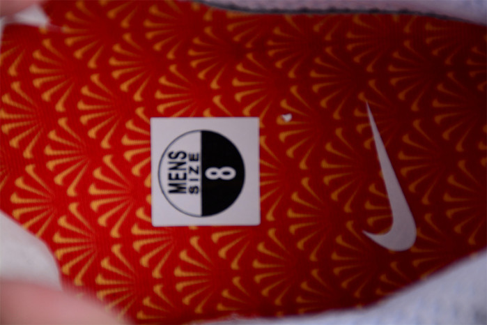 NIKE AIR MAX 1 "DENIM LEOPARD" FJ4452-432