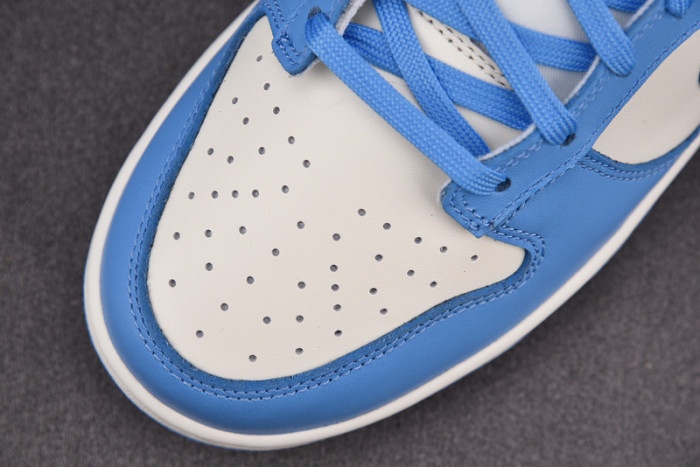 Nike Dunk Low Coast (W) DD1503-100