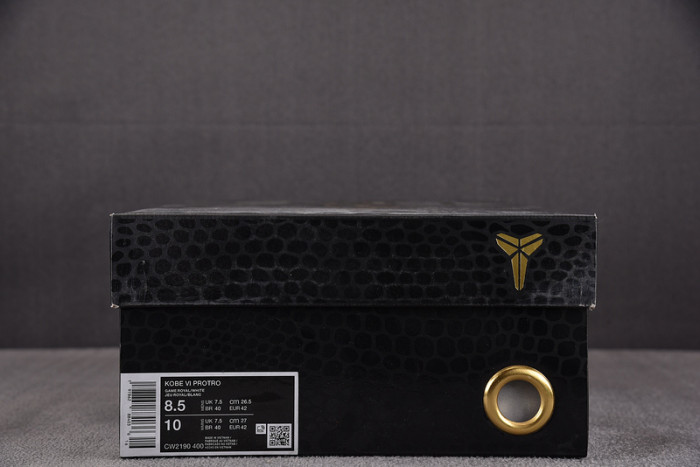 Nike Zoom Kobe 6 Protro 